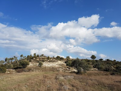 Gallery image